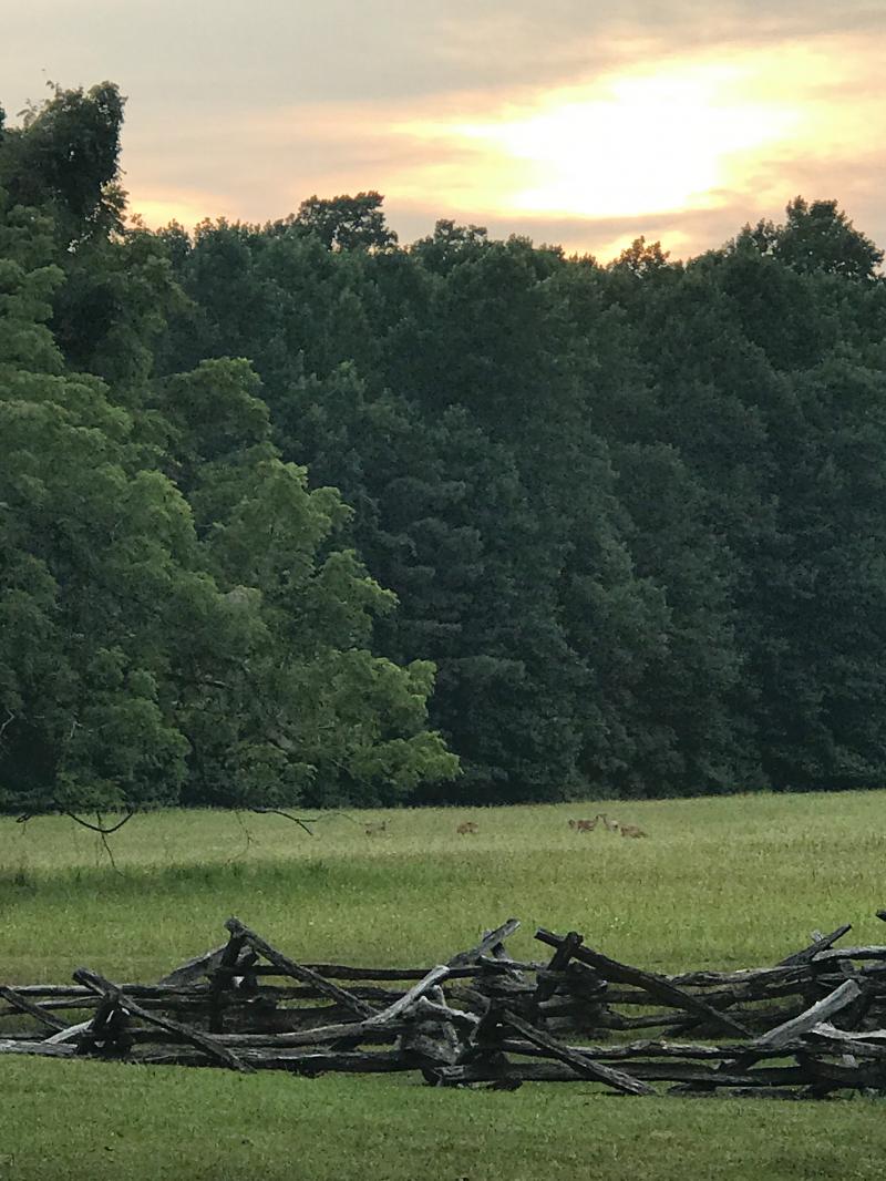 Surrender field
